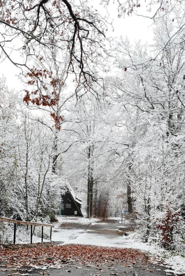 De Bosannemoon In Durbuy Villa Dış mekan fotoğraf